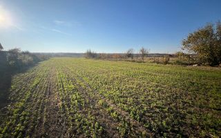 Teren intravilan de vanzare | 12.650 mp | Ghirdoveni, | COMISION 0% - Poză 3