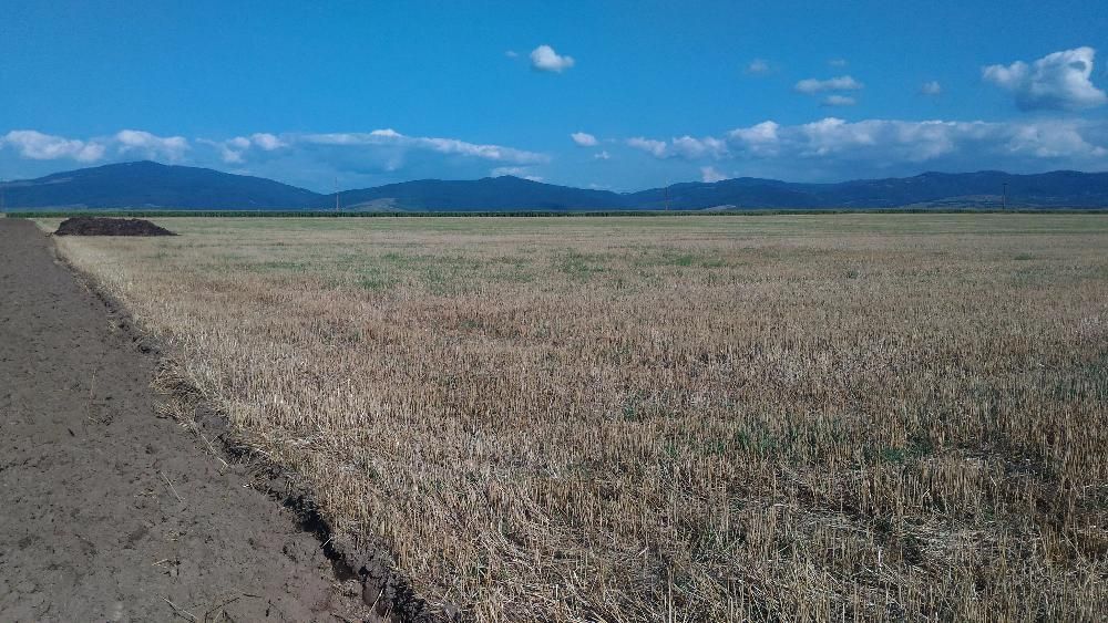 Teren extravilan Prejmer - Poză 10