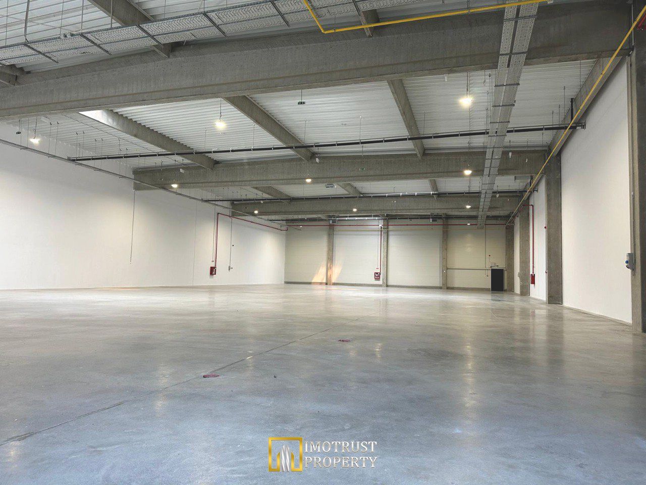 Hala industriala moderna – 1.162,05 mp depozit | Arad - Poză 2