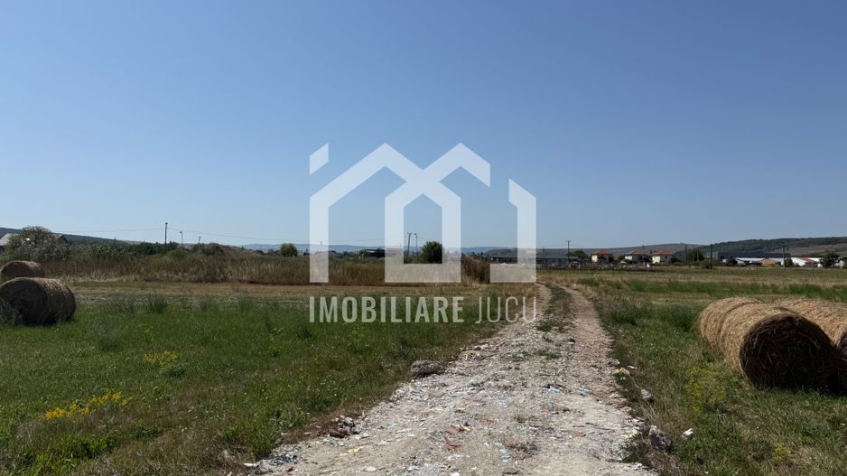 🔥 5.800 mp | Front 30 m | 20EUR/mp | Jucu de Mijloc - Poză 1