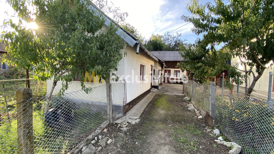 CASA + TEREN 1.002 MP | Stefanesti – Valea Mare Enculescu-Arges - Poză 1