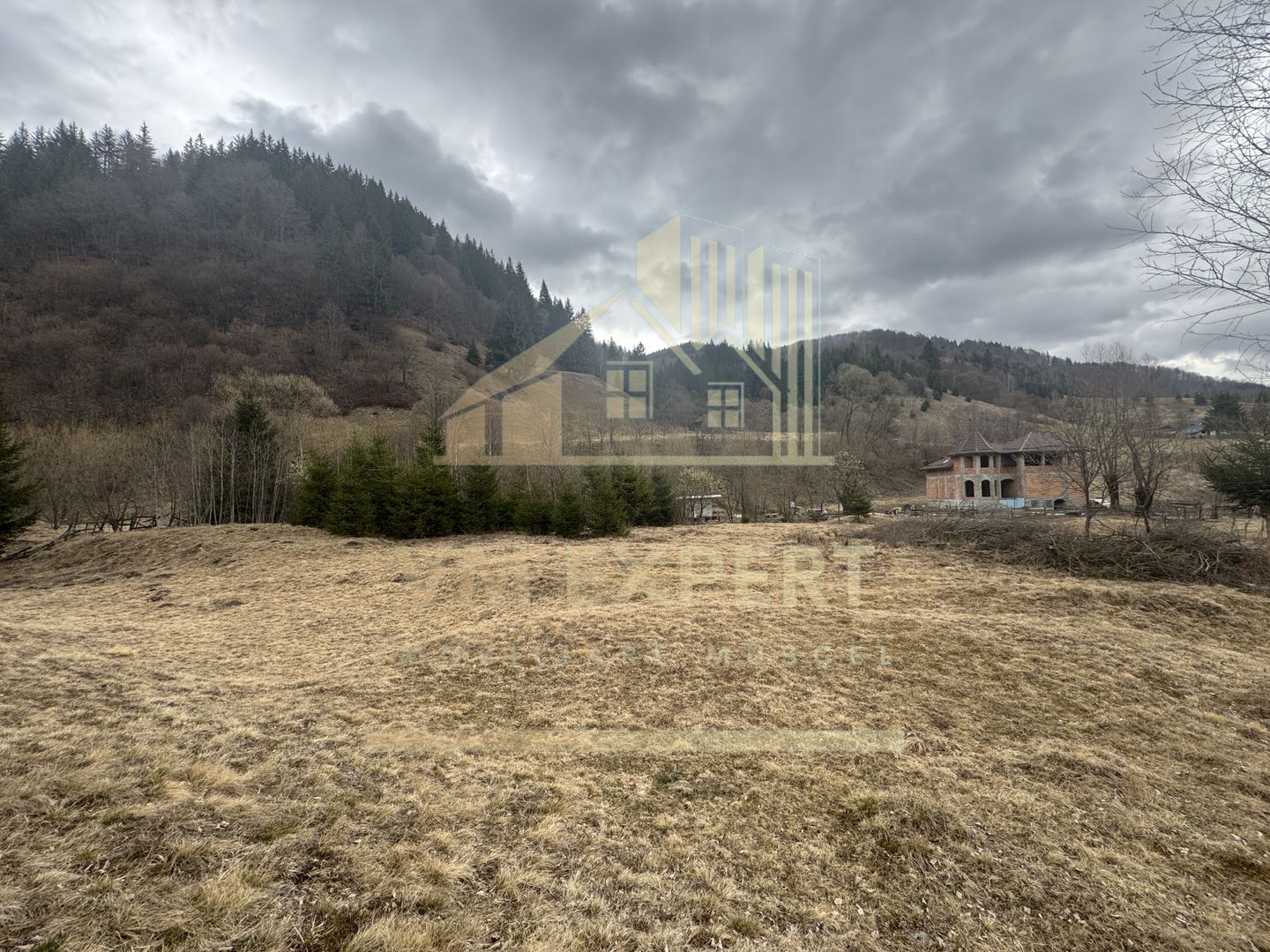 TEREN INTRAVILAN 500 MP SĂTIC- RUCĂR - Poză 10