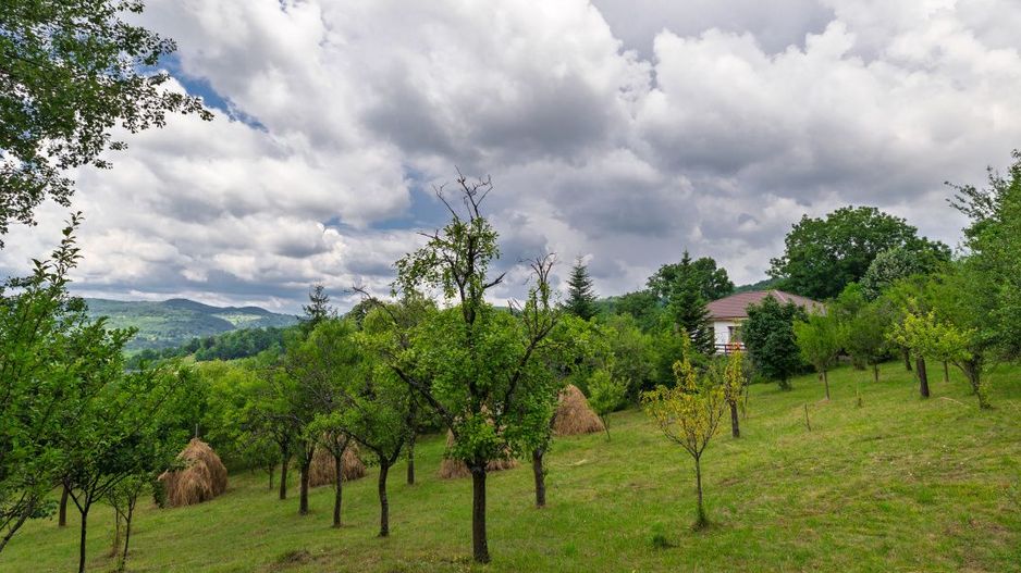 Casa moderna si casa bunicii + 6300 mp teren,Oaza autentica in Corbi Arges- - Poză 17