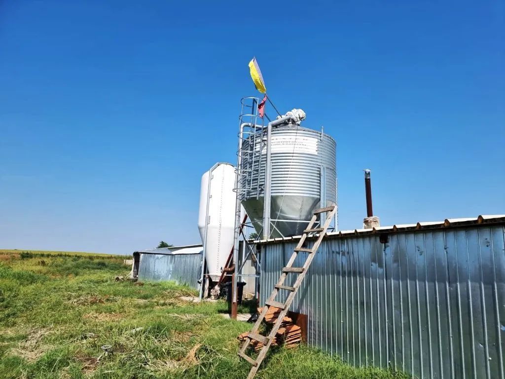 Ferma de gaini ouatoare in sistem free-range | 45.000 mp teren - Poză 2