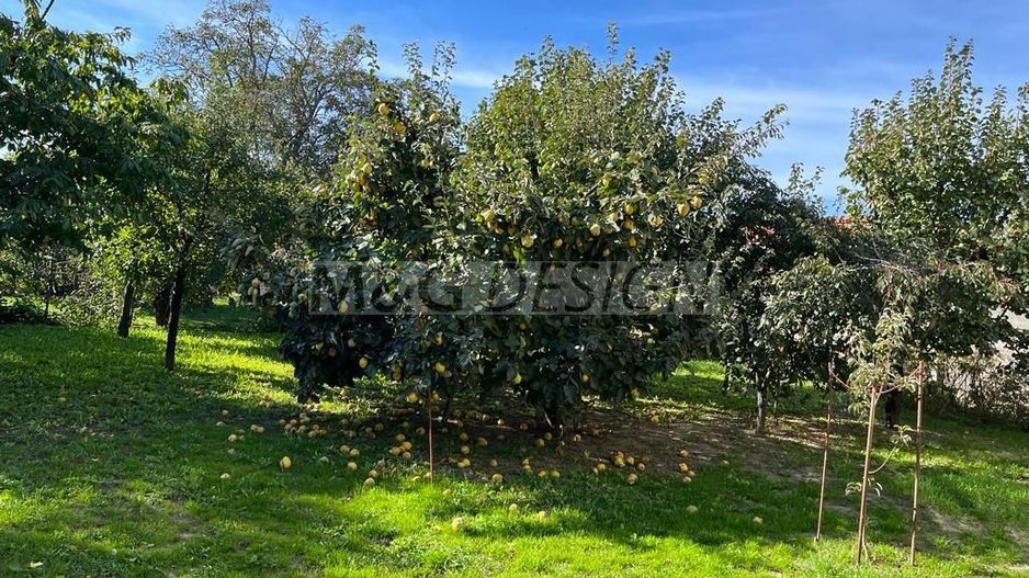 Oportunitate investitie/ Casa spatioas- zona Fratelia - Poză 3