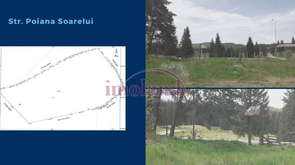 Teren 28.000 mp | Poiana Brasov | Poiana Mica | - Poză 3
