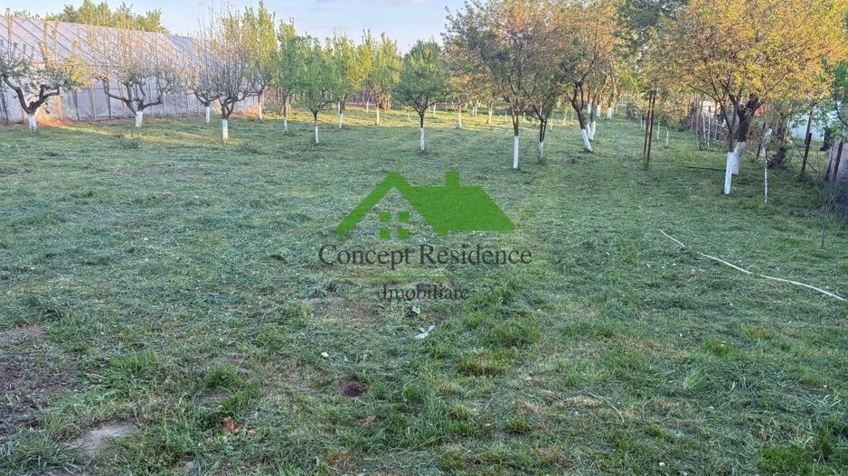 Casă 120 mp + teren 25 ari – Bușag, Tăuții Măgherăuș - Poză 10