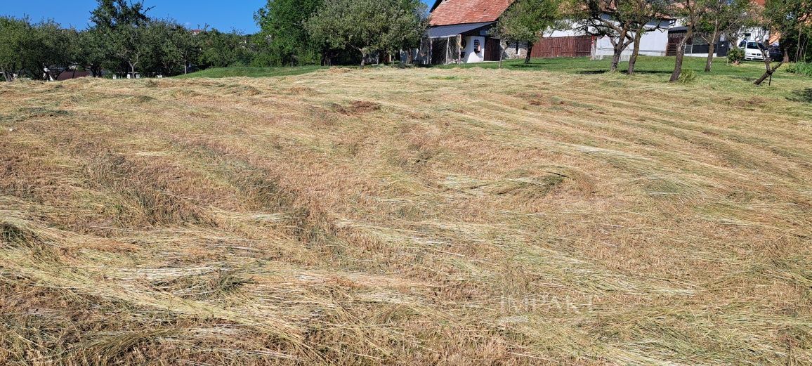 Teren Intravilan pentru Constructie | Potential Rezidențial | Feleacu - Poză 6
