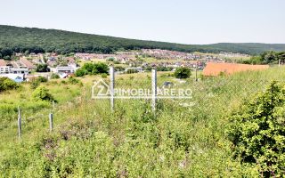 Teren 5.000 mp Corunca in spate la Dacia 40 euro mp - Poză 3