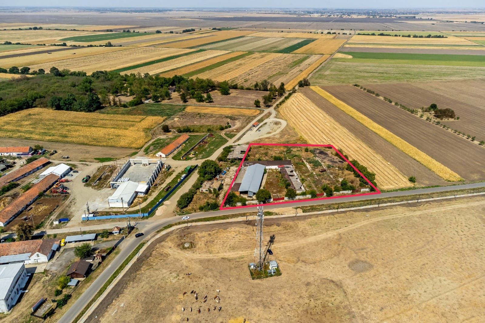 Vânzare teren în Sofronea, Arad - 9508 mp, dezvoltări imobiliare - Poză 3