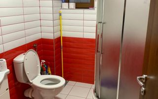 Inchiriere Vila Gavana, langa padure - Poză 8