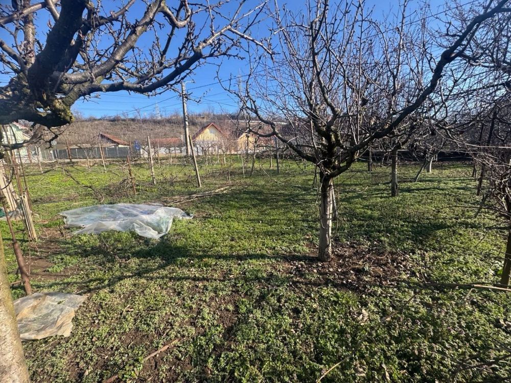 Teren intravilan de vanzare in Barabant - Poză 1