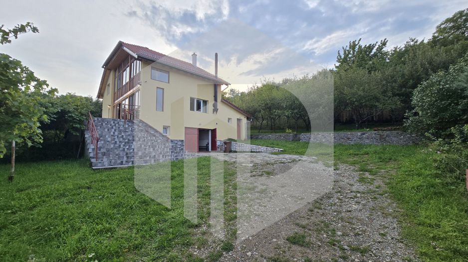 Casa individuala 4 camere teren 3825 mp Cisnadioara - Poză 2