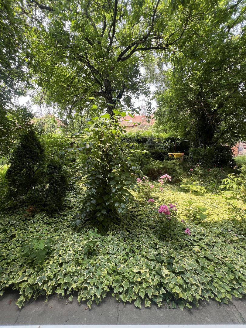 Apartament 2 cam str Sorin Titel - Bălcescu - Poză 17