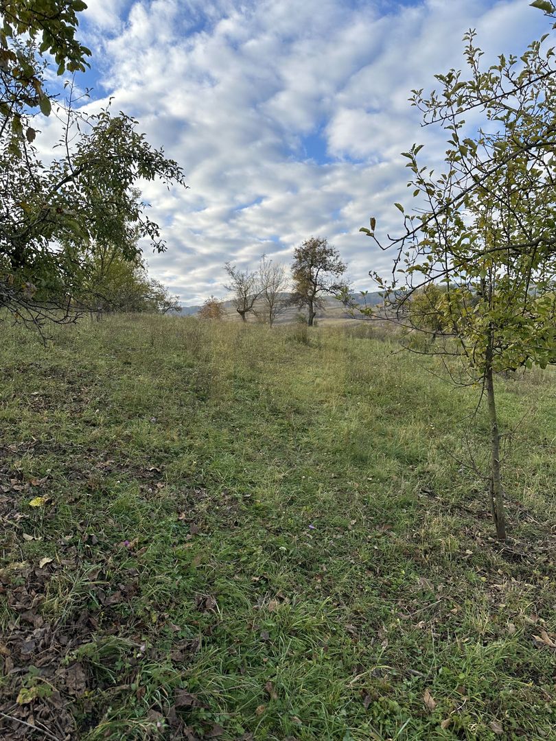 Vanzare teren cu HCL, zona Hub-ului Educational - Poză 7