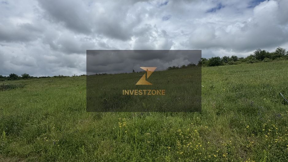 Teren intravilan Dealul Lavandei din Beldiceanu spre Săldăbagiu - Poză 2