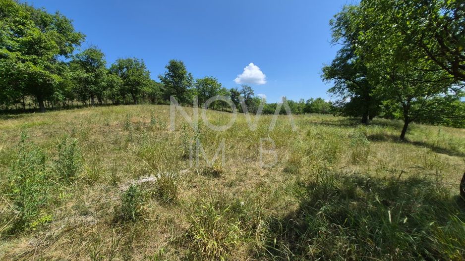 Casa individuala cu teren generos – 8.356 mp – Tichindeal, jud. Sibiu - Poză 43