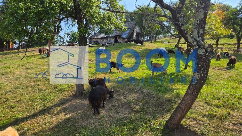 Casa noua | Zona de recreere | Evadare in natura| - Poză 8