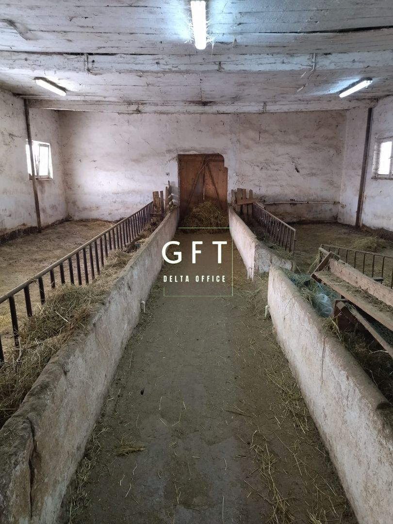 Hala de vanzare Bistrita Nasaud-3.9 km fata de Bistrita - Poză 4