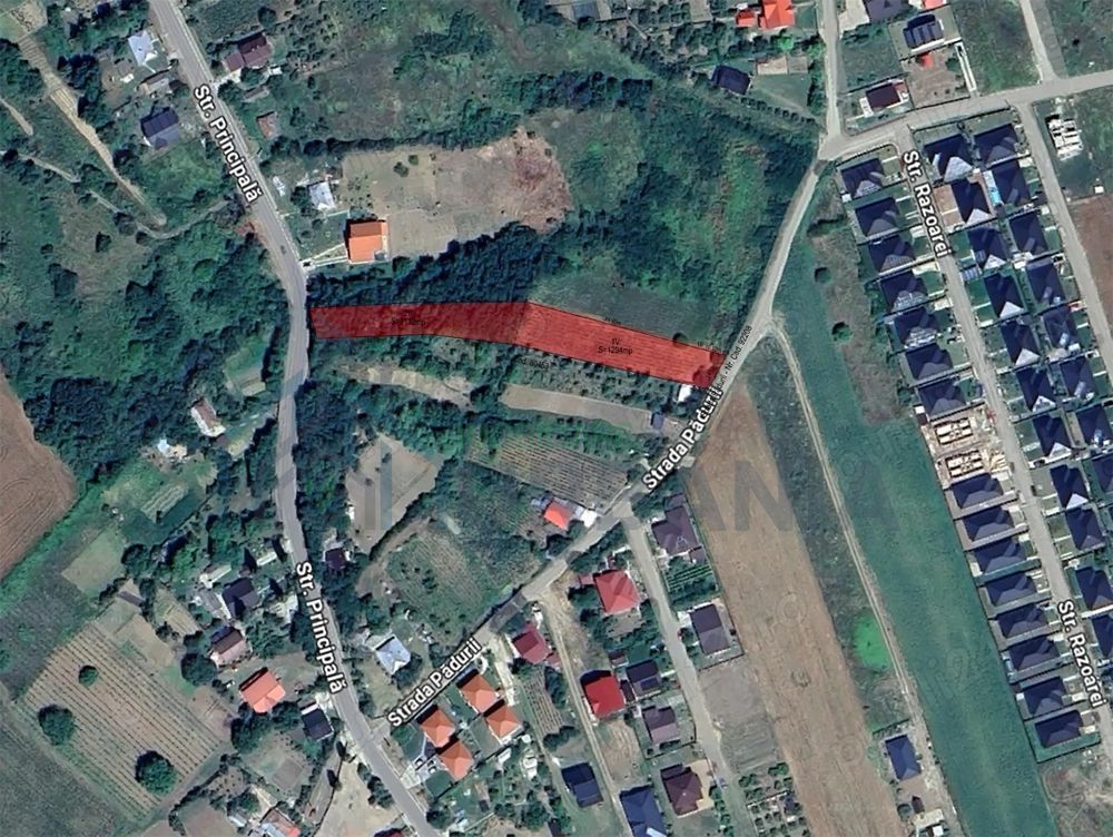 Teren Intravilan 2406 mp în Miroslava (Vorovești), Strada Pădurii - Poză 1