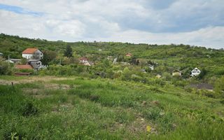 Teren intravilan Podgoria 7000mp - Poză 3