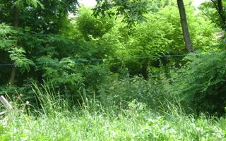 Teren  de vanzare Cornu 643 mp - Poză 3