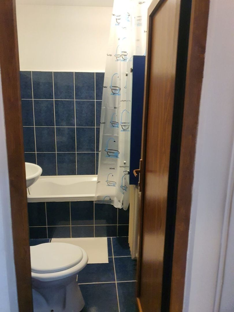 Garsoniera zona Costin Georgian - Lucretiu Patrascanu - Poză 6