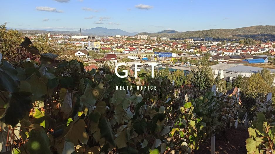 Teren intravilan 730 mp-livada-vedere panoramica-Valea Sigmirului - Poză 2