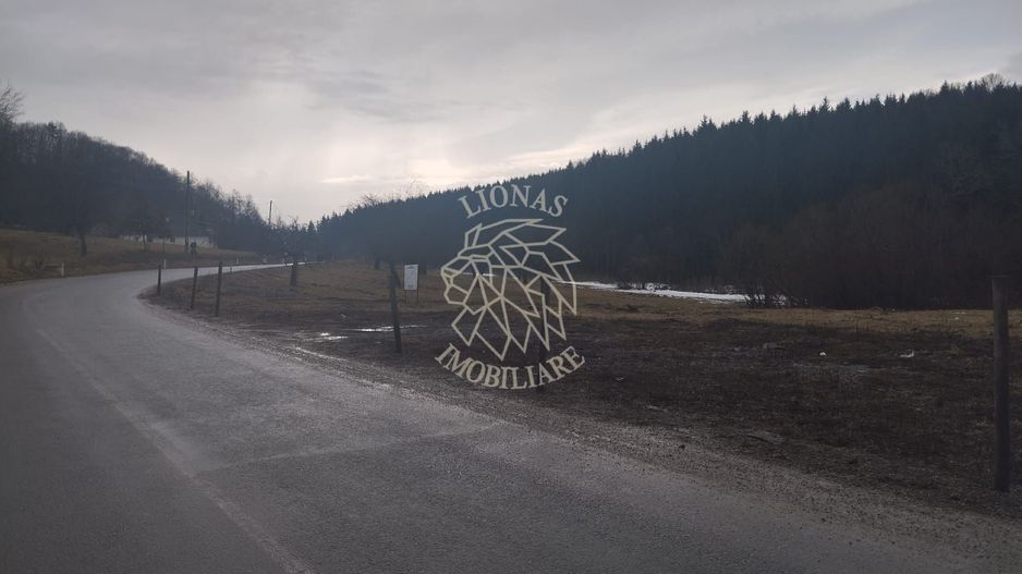 Parcele teren 500-1295 mp cu utilitati-Zona Drumul Tarpiului - Poză 2