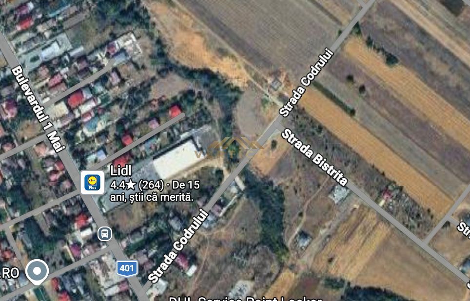 Teren intravilan 430 mp | Direct la asfalt | Str. Codrului, Berceni - Poză 3