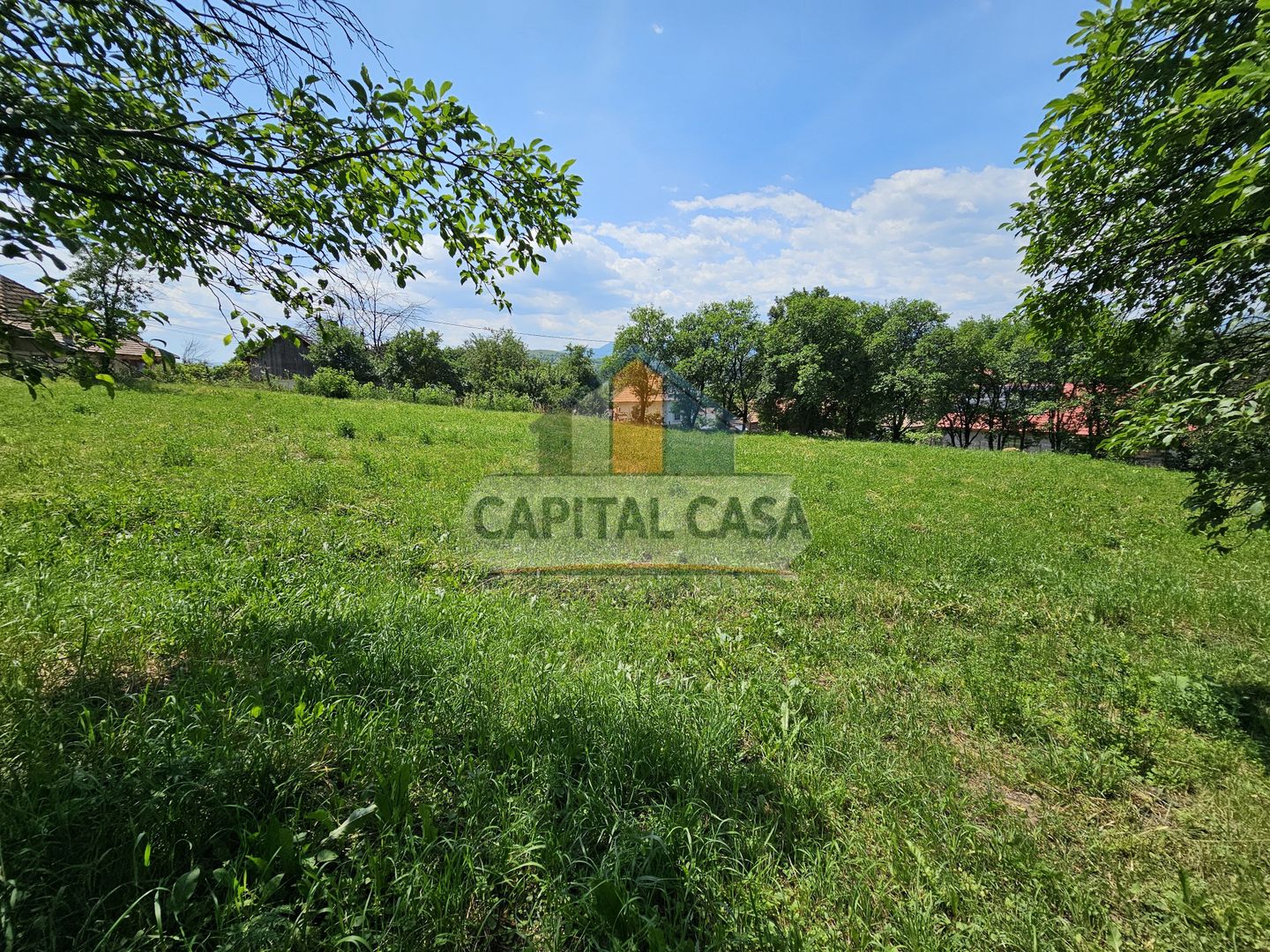 Teren de Vanzare in Plopu - Darmanesti, cu toate utilitatile - Poză 6