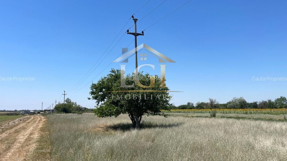 🌿 Teren de vânzare – Tărtășești ,12500 E - Poză 6