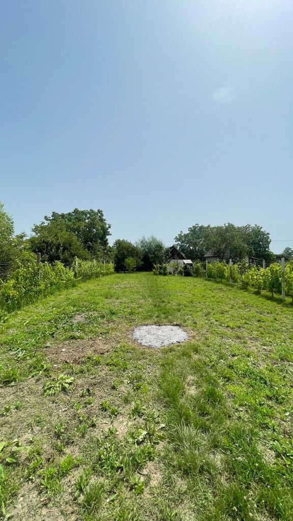 Vând teren intravilan, Str Dealului 64 - 936 mp,front stradal 13.4 m - Poză 2