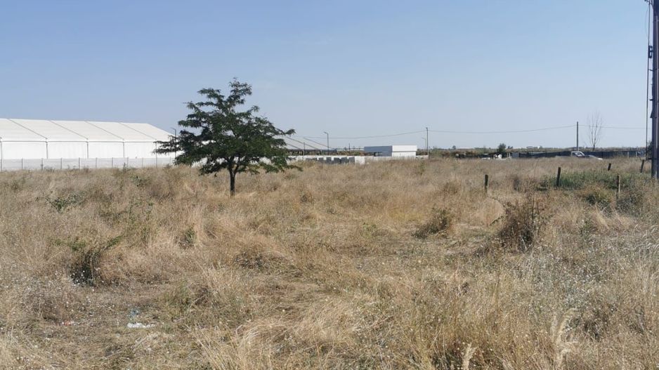 Teren extravilan arabil | Intrare in Pielesti | Zona Peugeot - Poză 5