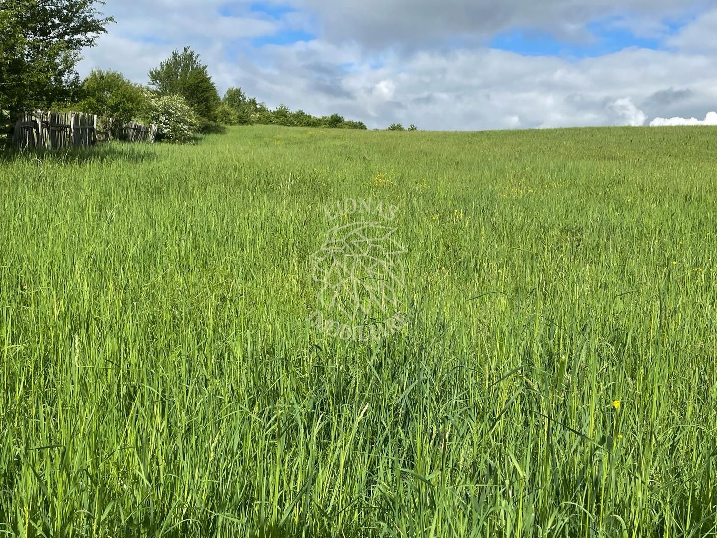 Teren intravilan 631 mp cu utilitati-ideal casa-Sigmir - Poză 3