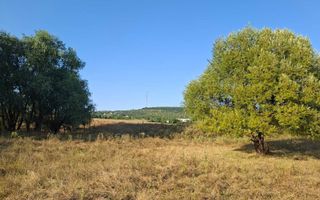 Teren intravilan de vanzare in Barnova, Iasi, langa Manastirea Barnova - Poză 3