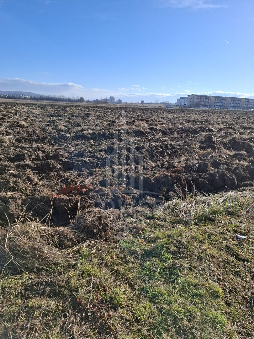 TEREN INTRAVILAN PENTRU CONSTRUCTIE BLOCURI-20000 MP, ZONA CALEA SURII MICI - Poză 5
