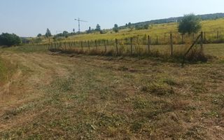 Teren intravilan 653 mp, Livezeni, utilitati, drum acces - Poză 5