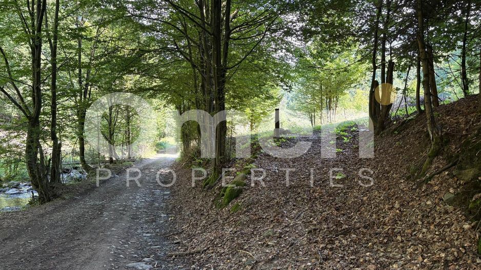 Teren extravilan de vânzare | 1402 mp | Blidari | zonă superbă - Poză 5