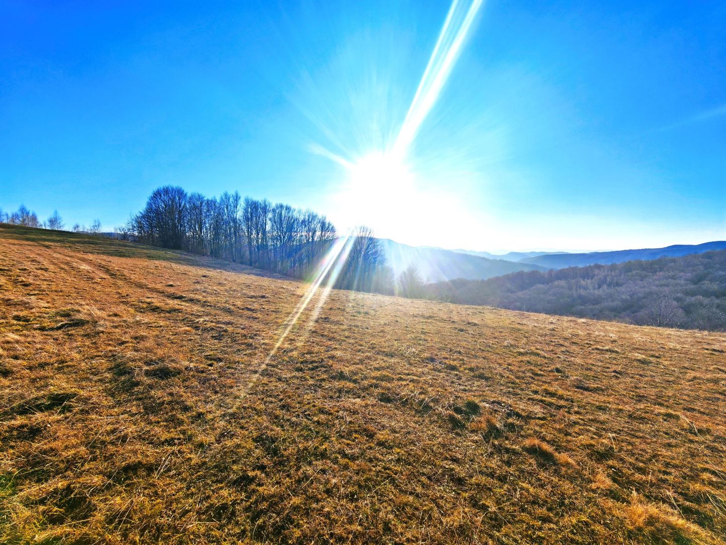 2,2 Ha TEREN INTRAVILAN PANORAMIC, in Muntii Apuseni NEGRENI – CLUJ - Poză 7