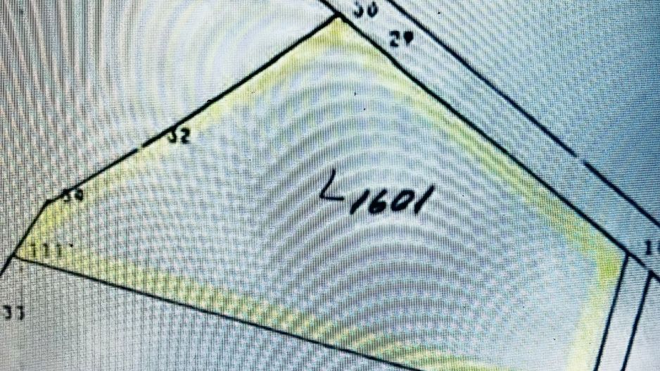 Teren intravilan de 1.125 mp la liziera Pădurii Gheorghe Doja – Oradea - Poză 2