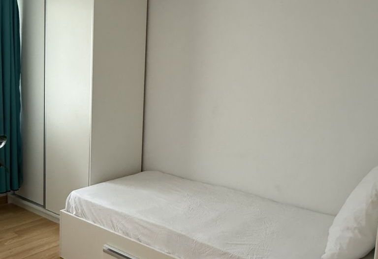 Apartament 3 camere zona Liviu Rebreanu - Auchan Titan - Poză 8