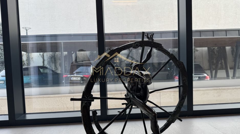 Resedinta de lux / *Kiseleff* - Poză 76