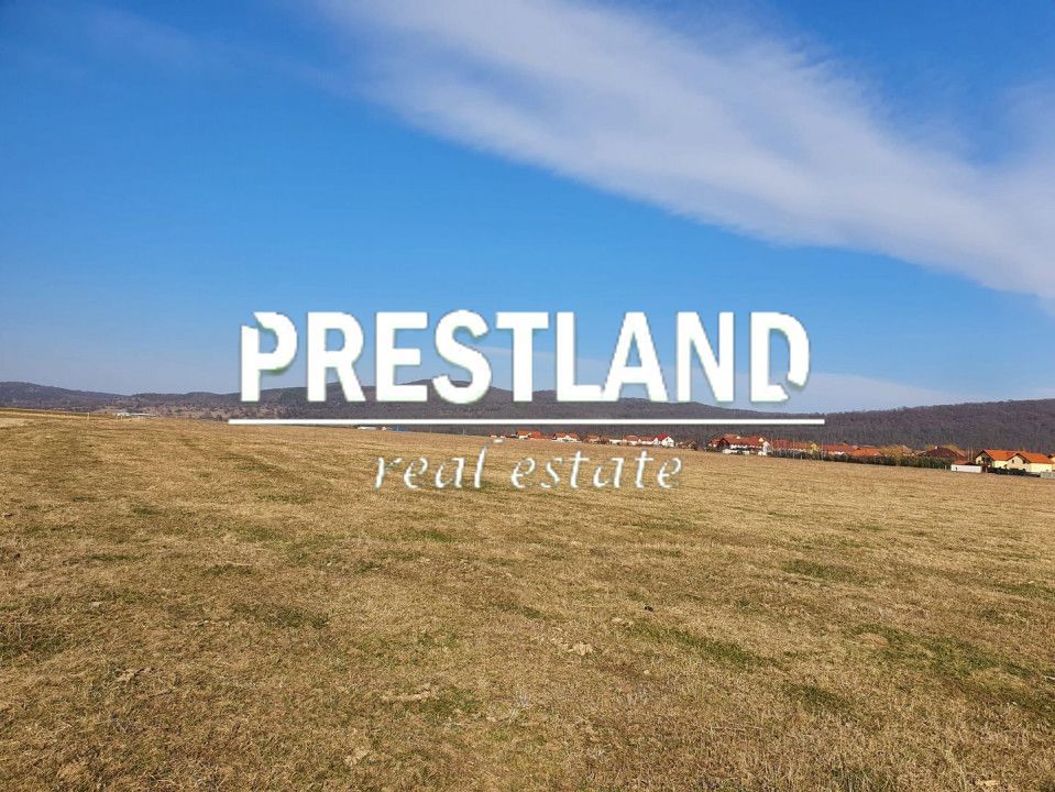 Teren extravilan-5.000 mp-Sura Mică. - Poză 3