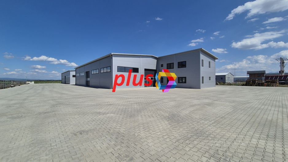 Hala - 1400 mp  # plus-imo.ro - Poză 3