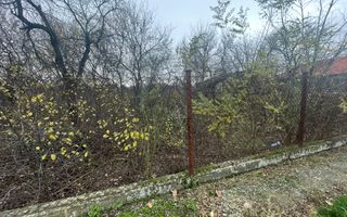 Teren in suprafata de 2165 mp cu front de 30 ml - Poză 6