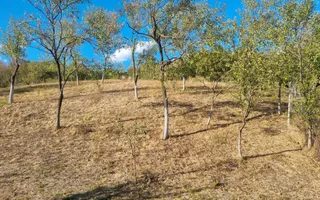 Casă renovata cu teren generos | Anexe | Gurasada | Hunedoara - Poză 46