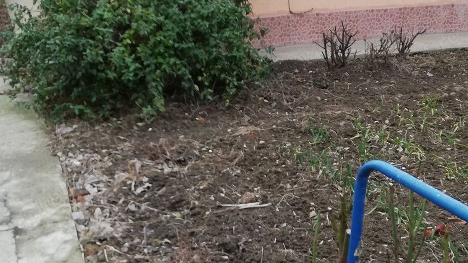 Casa de vânzare cu teren - Poză 1