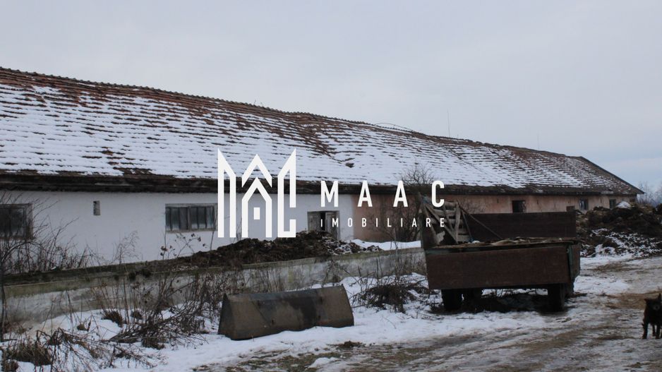 Ferma de Vânzare – Oportunitate Unică! - Poză 20