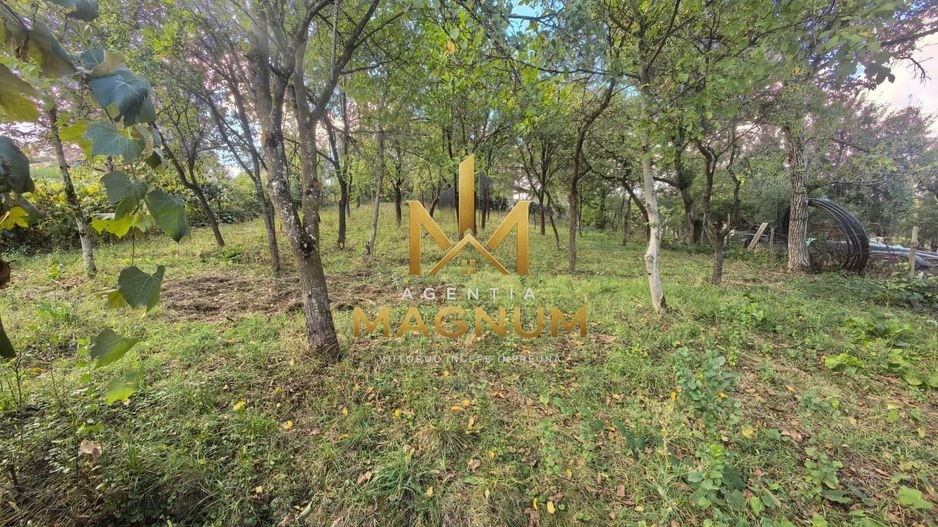 Casă de vânzare în Dumbrăvița, Maramureș  0% comision - Poză 8